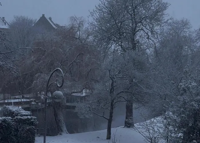 Alloggio in famiglia Perfect - Heart Of