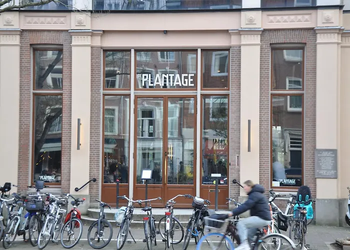 Séjour chez l'habitant Perfect - Heart Of Amsterdam